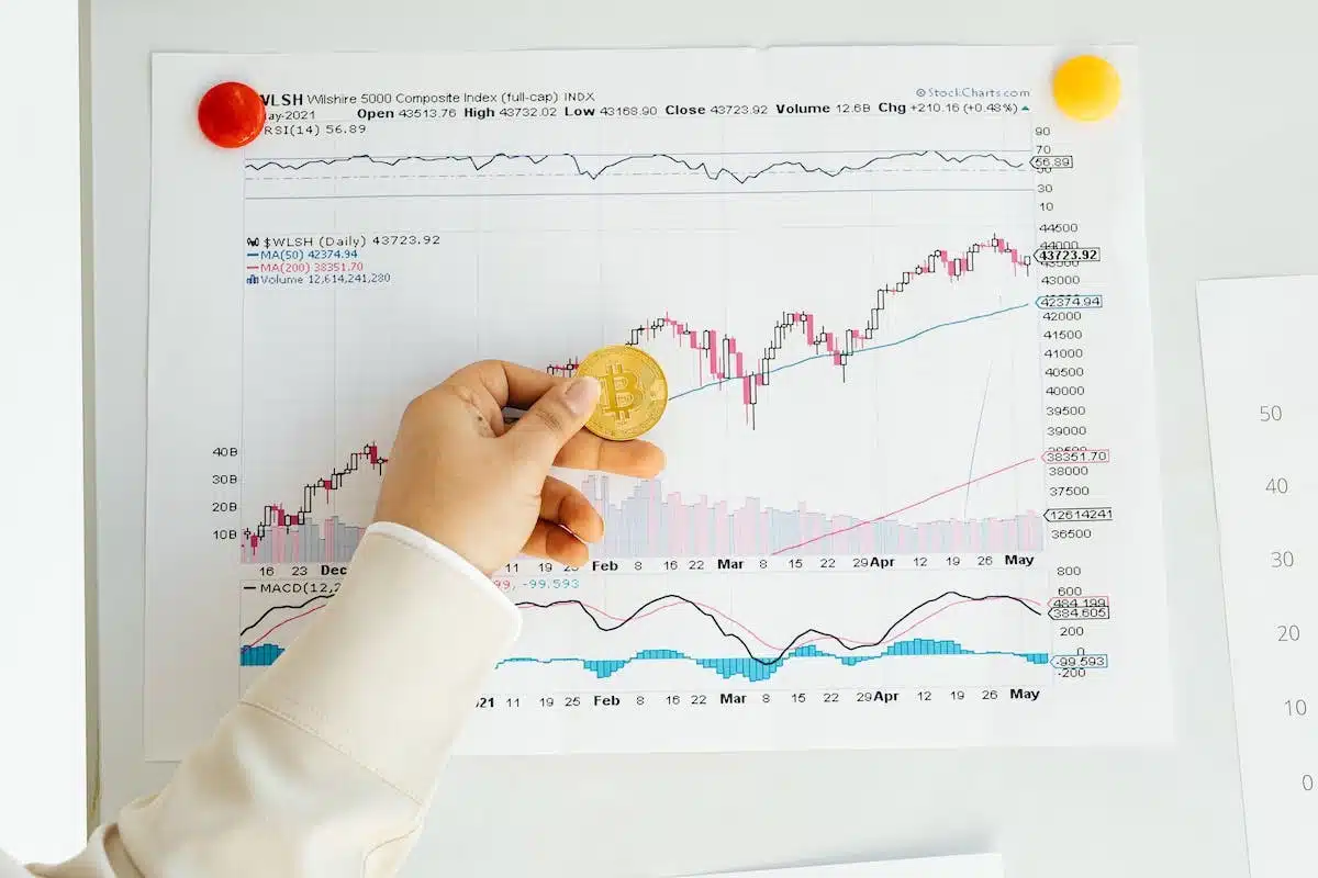 seo  statistiques