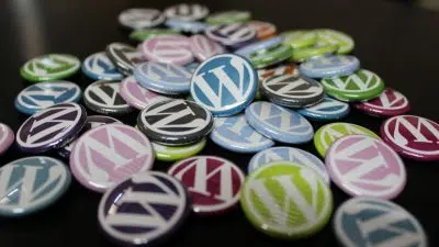 Quels sont les services proposés par une agence d’assistance WordPress ?